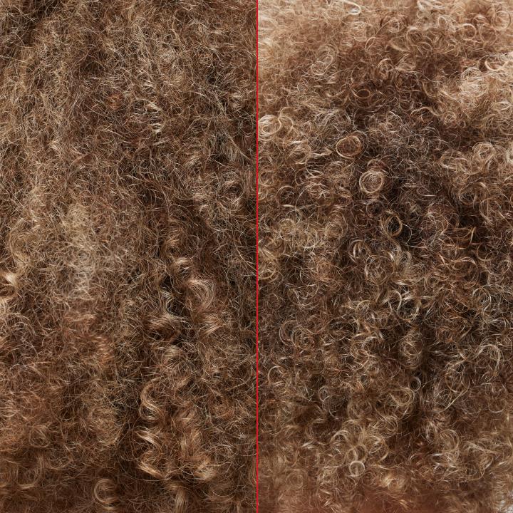 OLAPLEX before and after, curly hair